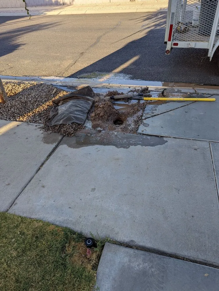 Professional yard maintenance near you in Litchfield Park, AZ by Urban Landscape Solutions