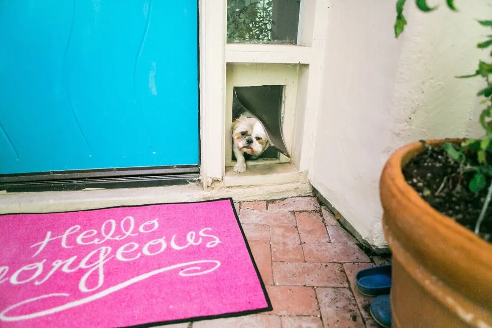 Professional lawn care service in Litchfield Park, AZ by Urban Landscape Solutions