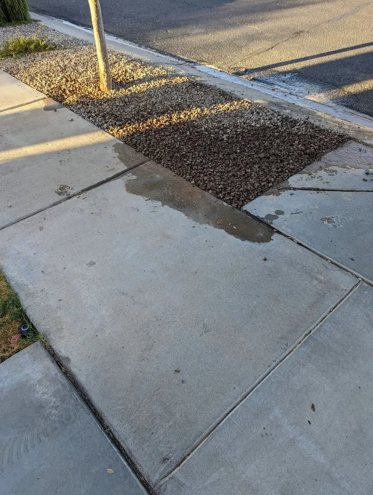 Local yard cleanup service for year-round maintenance across Litchfield Park, AZ - Urban Landscape Solutions