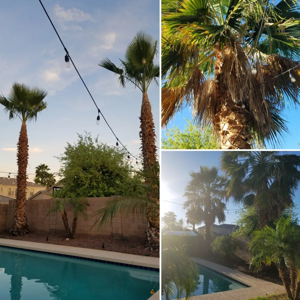 Trusted yard cleanup service for beautiful yards in Litchfield Park, AZ by Urban Landscape Solutions