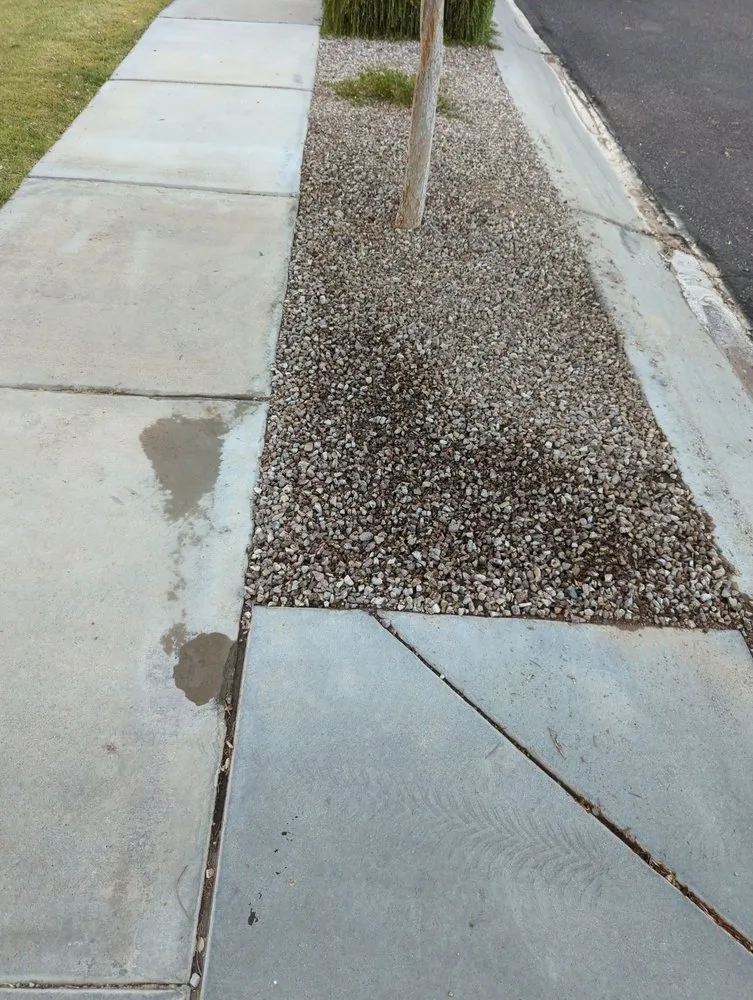 Custom yard cleanup service with custom design in Litchfield Park, AZ by Urban Landscape Solutions