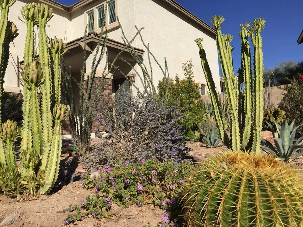 Reliable lawn care service experts serving Litchfield Park, AZ - Urban Landscape Solutions