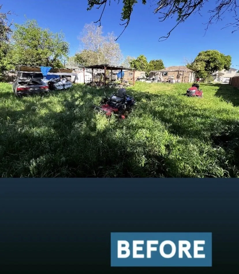 Affordable landscaping services experts serving Sacramento, CA - Urban Landscaping and Maintenance