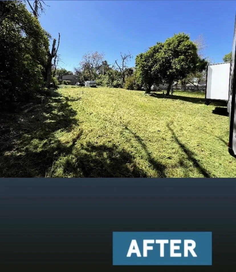 Affordable garden landscaping experts serving Sacramento, CA - Urban Landscaping and Maintenance