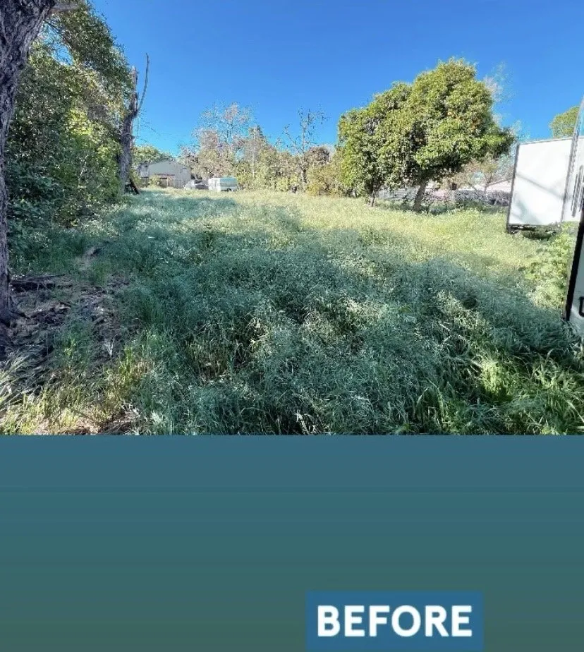 Top-rated landscaping services for residential properties in Sacramento, CA by Urban Landscaping and Maintenance