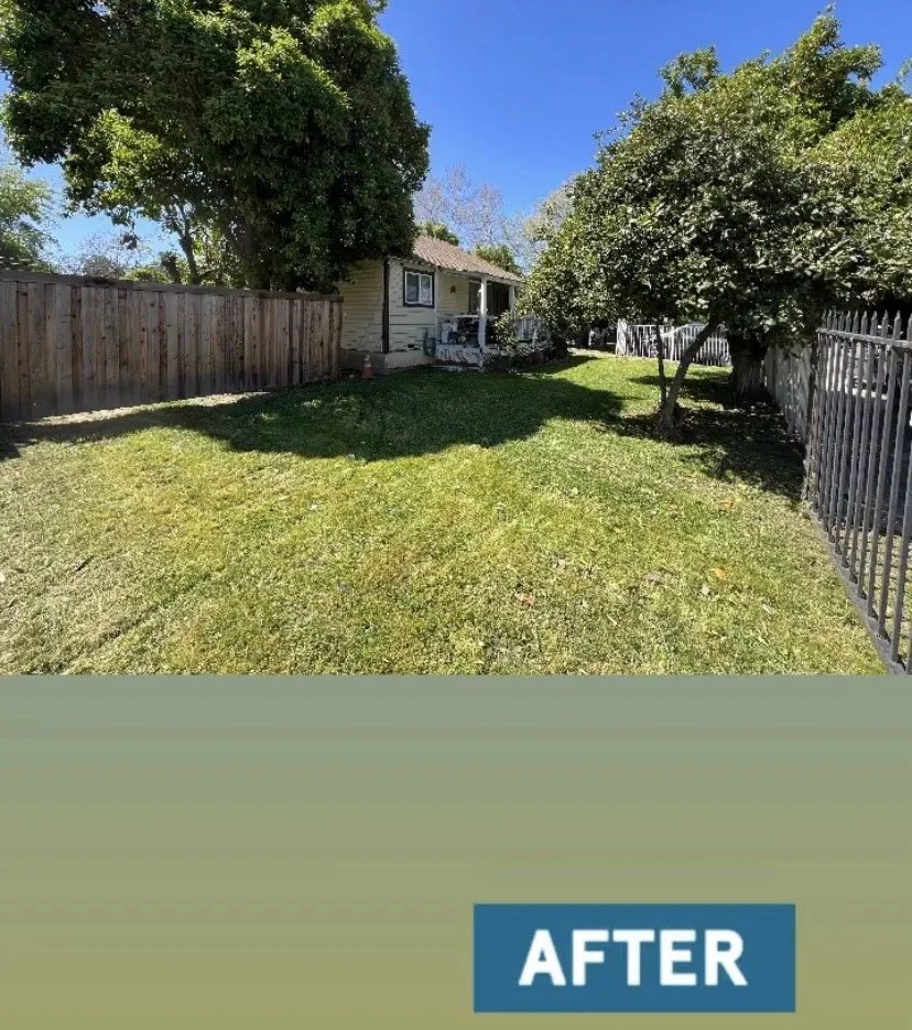 Top-rated yard maintenance experts serving Sacramento, CA - Urban Landscaping and Maintenance