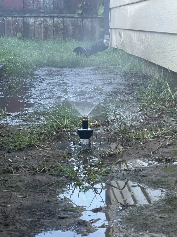 Top-rated garden landscaping for year-round maintenance in Sacramento, CA by Urban Landscaping and Maintenance