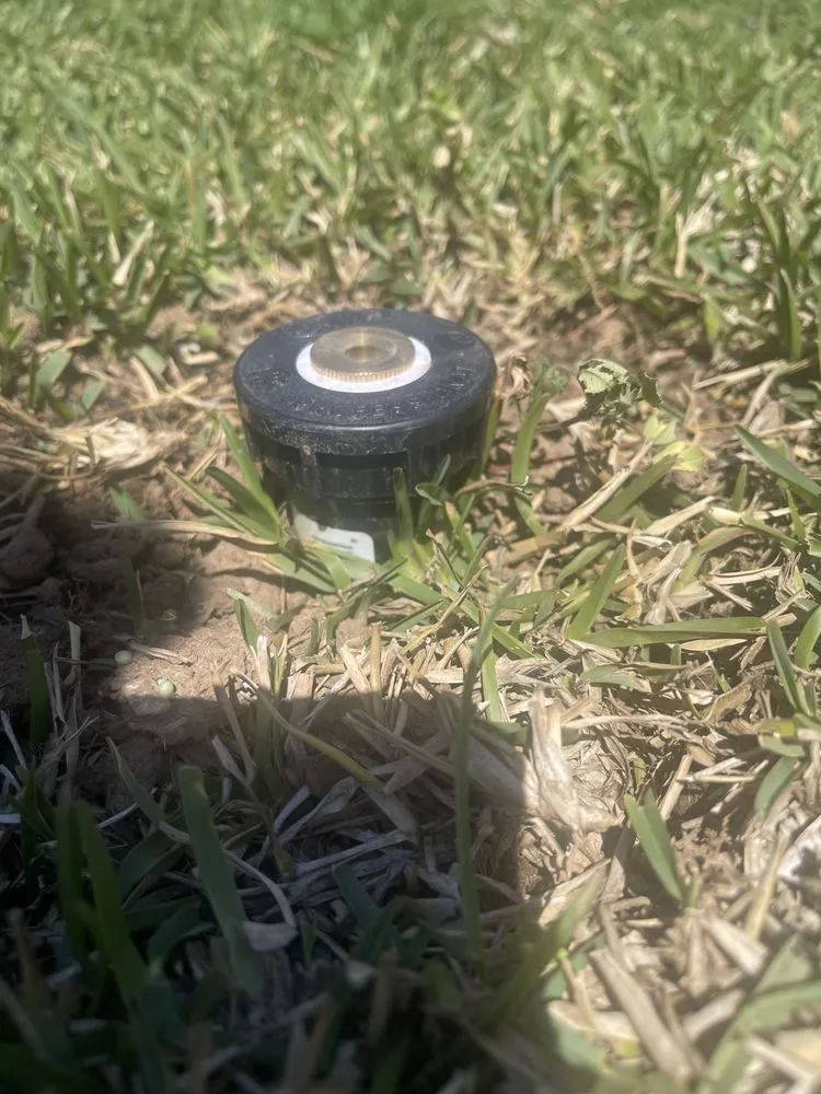 Local landscape design in Sacramento, CA by Urban Landscaping and Maintenance