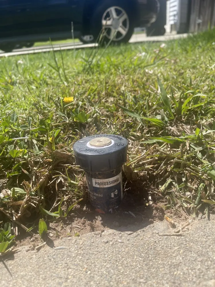 Professional yard cleanup service for homes across Sacramento, CA - Urban Landscaping and Maintenance