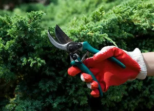 Expert residential landscaping in Evansville, IN by Urban Landscaping