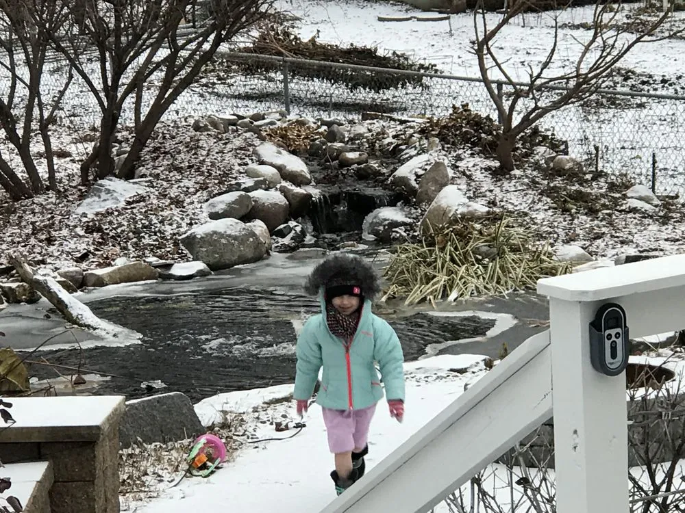 Top-rated garden landscaping near you in Minneapolis, MN by Urban Landworks