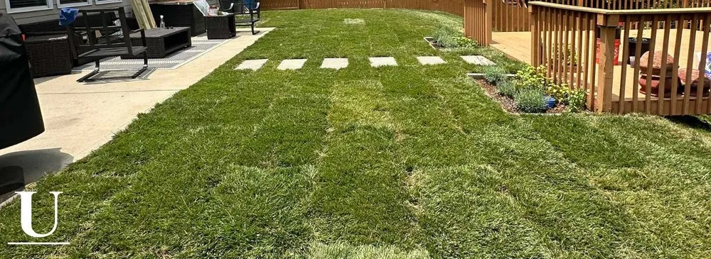 Reliable landscape design for beautiful yards across Mint Hill, NC - Urban Lawn & Landscape