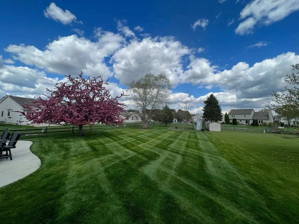 Reliable landscape design with custom design across Toledo, OH - Urban lawn and Landscape