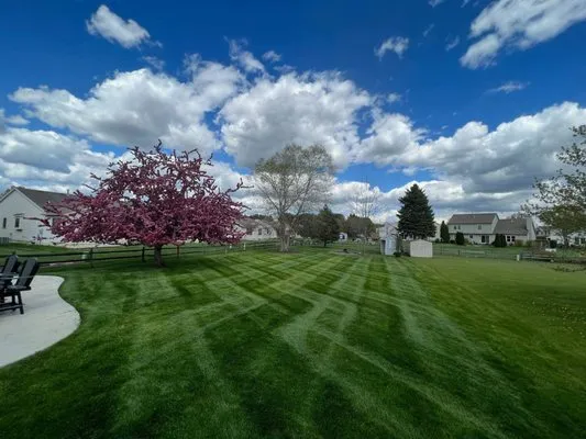 Urban lawn and Landscape Logo