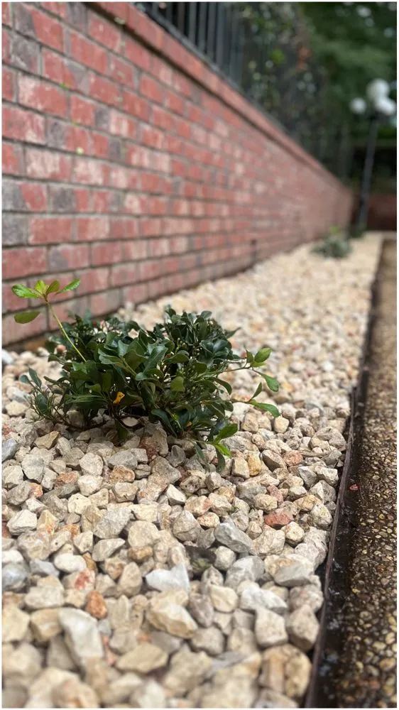 Local lawn mowing service in Nacogdoches, TX by Urban Leaf Lawn Care