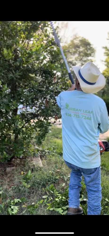 Professional lawn care service in Nacogdoches, TX by Urban Leaf Lawn Care
