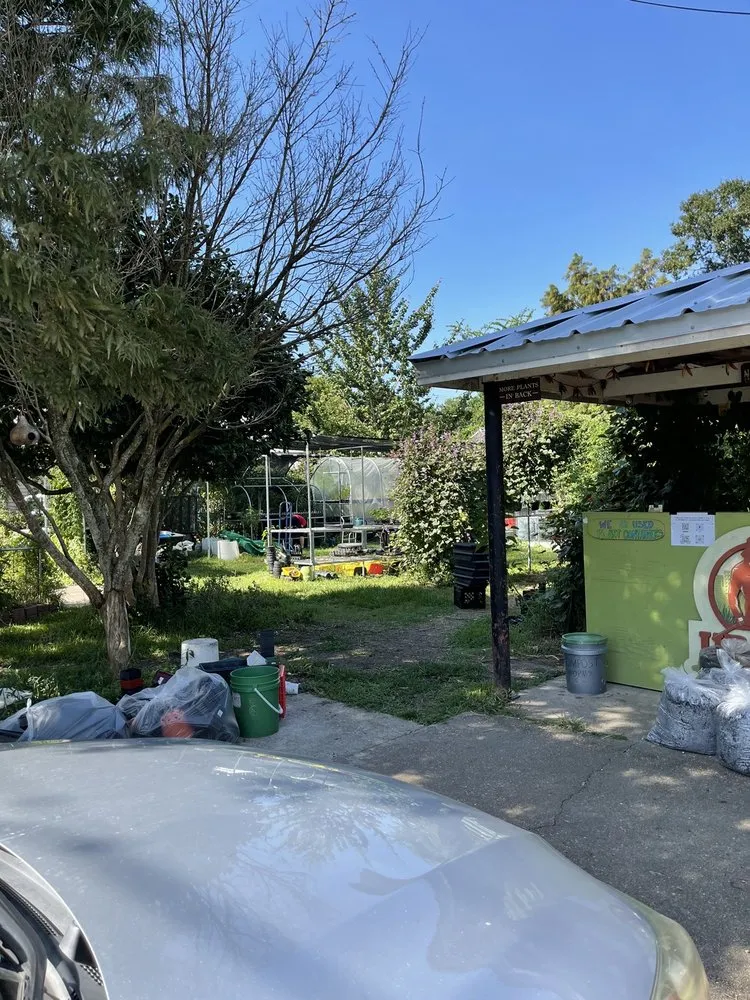 Professional garden landscaping experts serving Lafayette, LA - Urban Naturalist