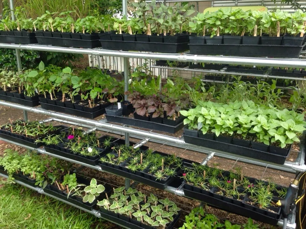 Top-rated outdoor landscaping in Lafayette, LA by Urban Naturalist