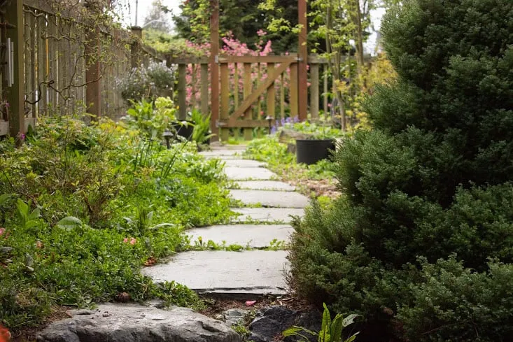 Custom landscape design in Seattle, WA by Urban Oasis Design & Construction