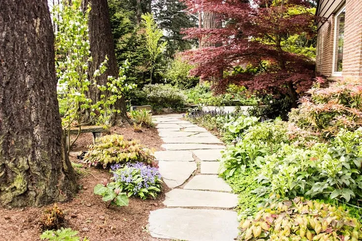 Top-rated landscaping services for outdoor upgrades across Seattle, WA - Urban Oasis Design & Construction