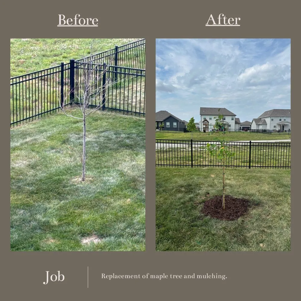 Top-rated landscaping services in Kansas City, MO by Urban Oasis