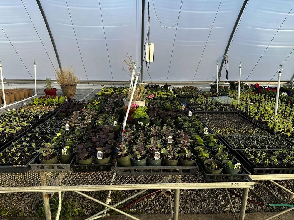 Professional lawn mowing service in Kansas City, MO - Urban Oasis