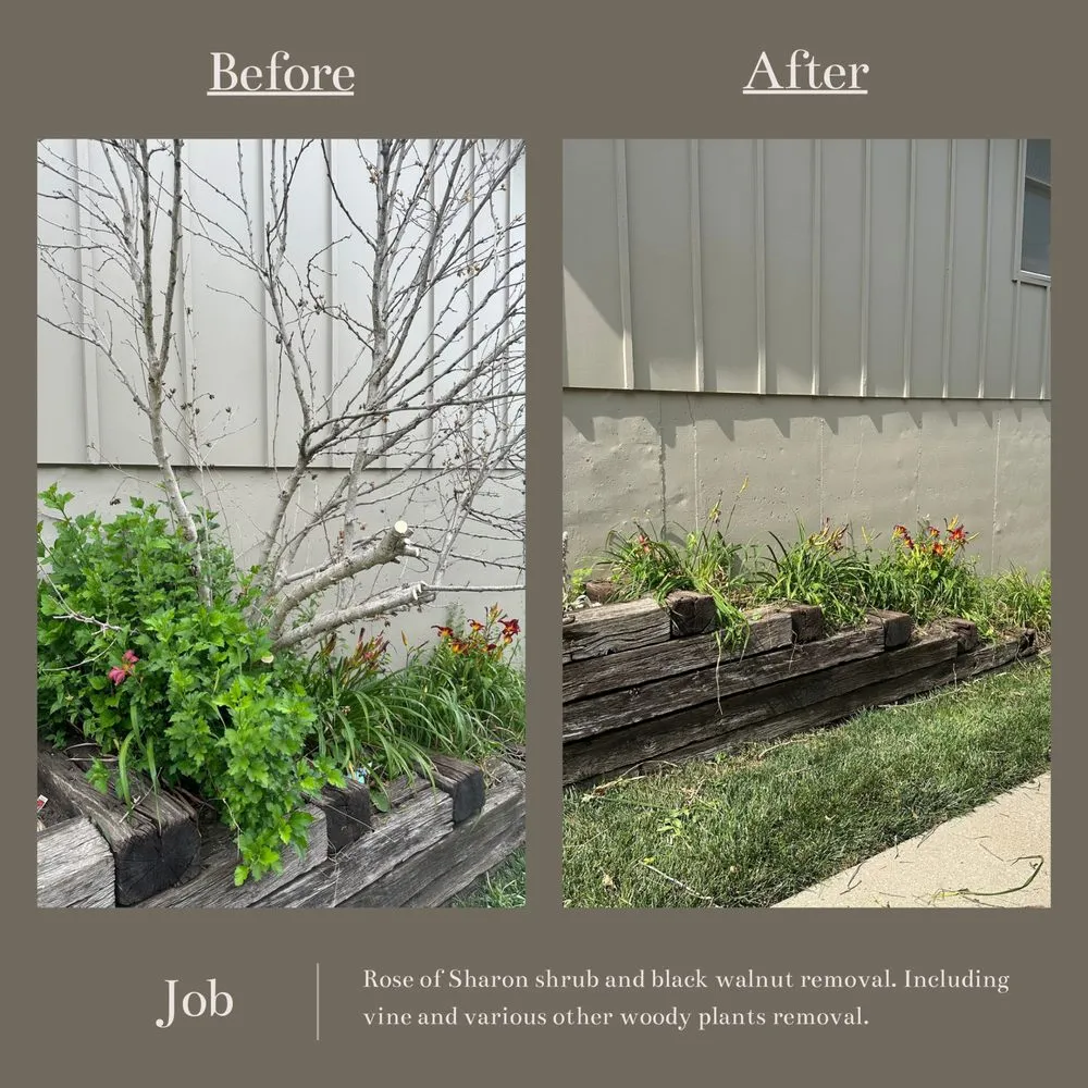 Affordable outdoor landscaping for beautiful yards in Kansas City, MO by Urban Oasis