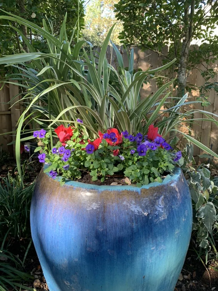 Trusted lawn care service with custom design in Katy, TX by Urban Oasis Landscape