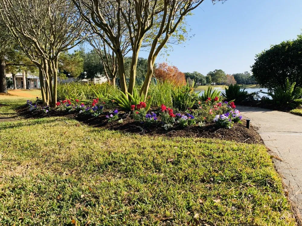 Trusted yard cleanup service experts serving Katy, TX - Urban Oasis Landscape