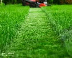 Custom yard maintenance in Coopersburg, PA by Urban Oasis Landscapes