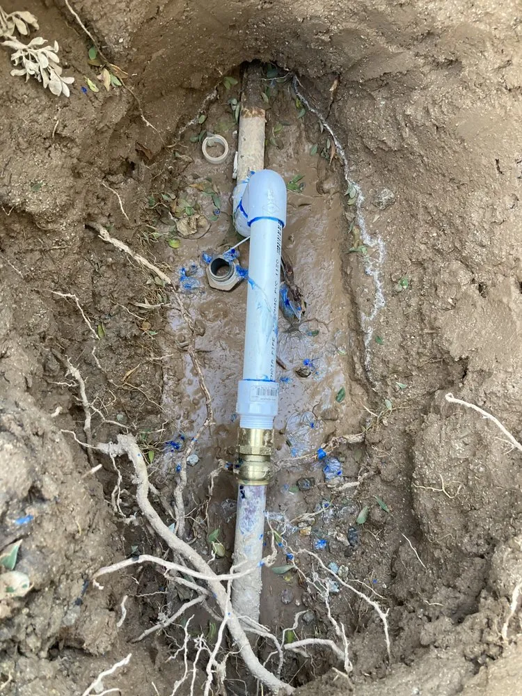 Local landscape installation for residential properties across Phoenix, AZ - Urban Oasis Landscaping & Irrigation