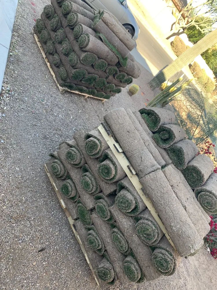 Affordable yard cleanup service in Phoenix, AZ by Urban Oasis Landscaping & Irrigation