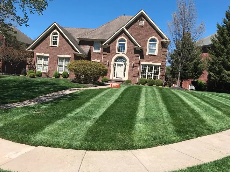 Expert lawn care service experts serving Lexington, KY - Urban Oasis