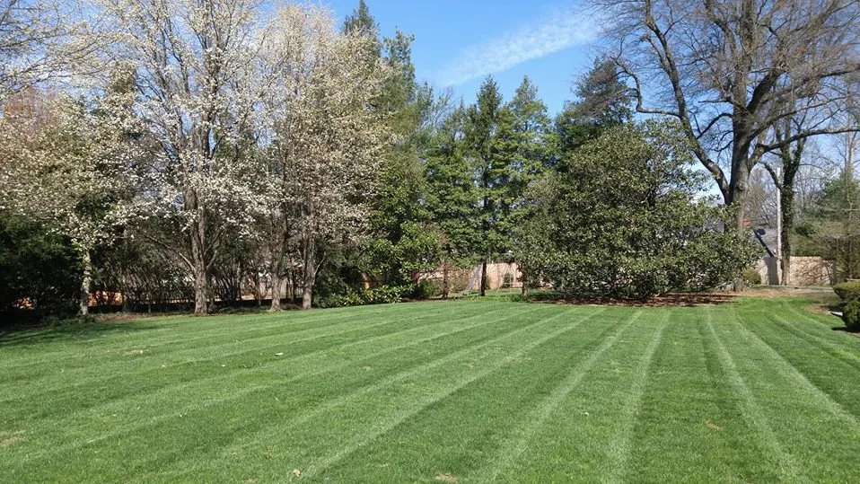 Reliable residential landscaping for homes across Lexington, KY - Urban Oasis