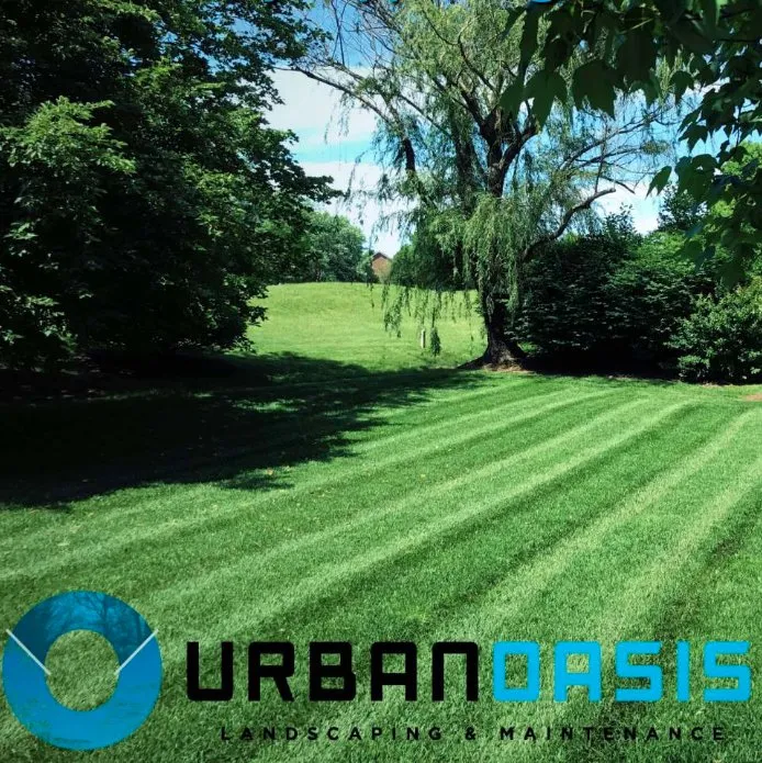 Reliable lawn care service with custom design in Lexington, KY by Urban Oasis