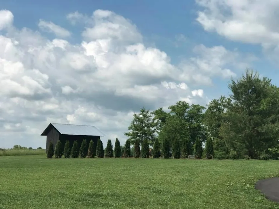Professional landscape installation in Lexington, KY - Urban Oasis