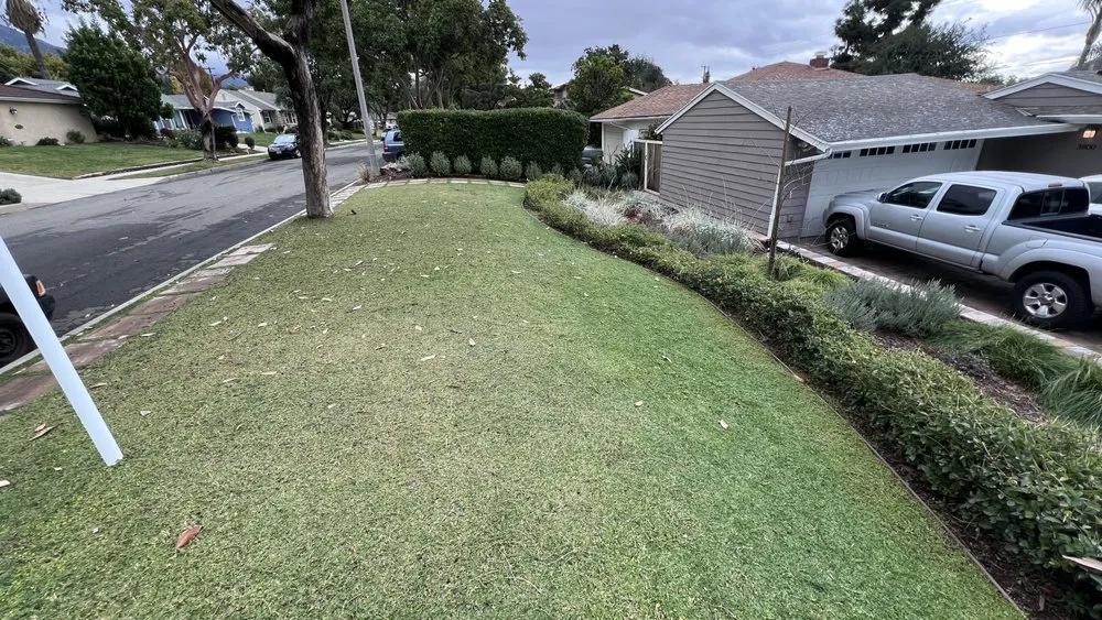 Custom lawn care service in San Pedro, CA by Urban Organics Design, Inc