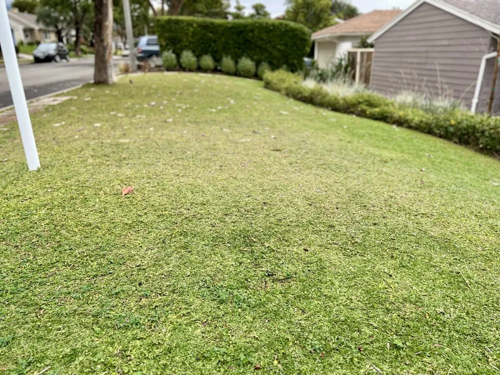 Expert garden landscaping experts serving San Pedro, CA - Urban Organics Design, Inc