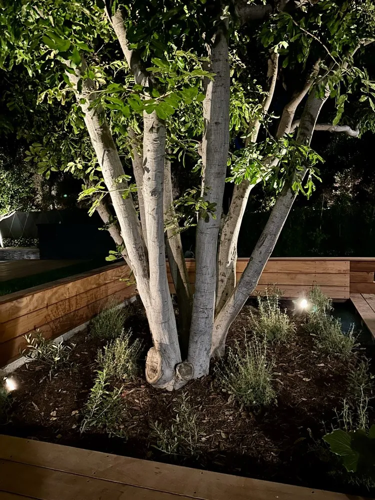 Top-rated landscape design in San Pedro, CA by Urban Organics Design, Inc