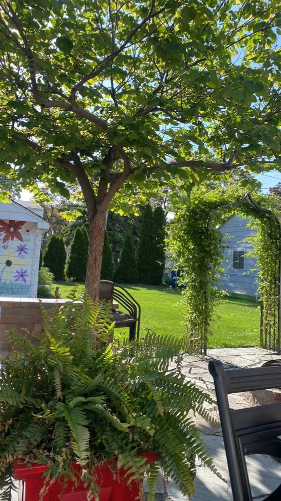 Custom lawn care service near you across Chicago, IL - Urban Outdoor Spaces