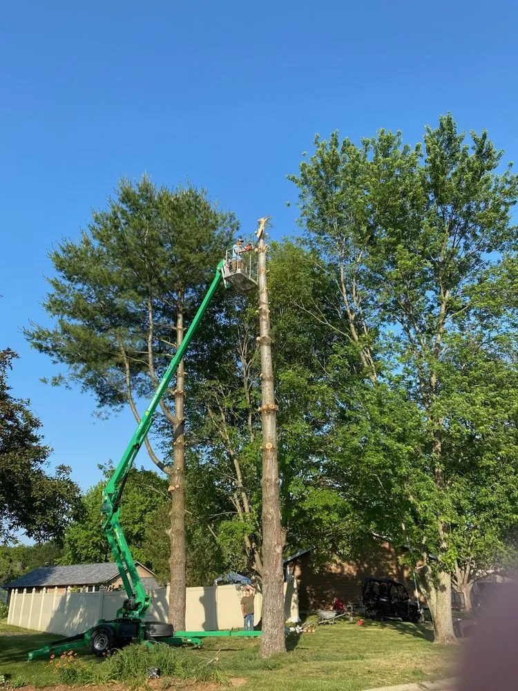 Custom lawn mowing service in Troy, IL by Urban Paradise