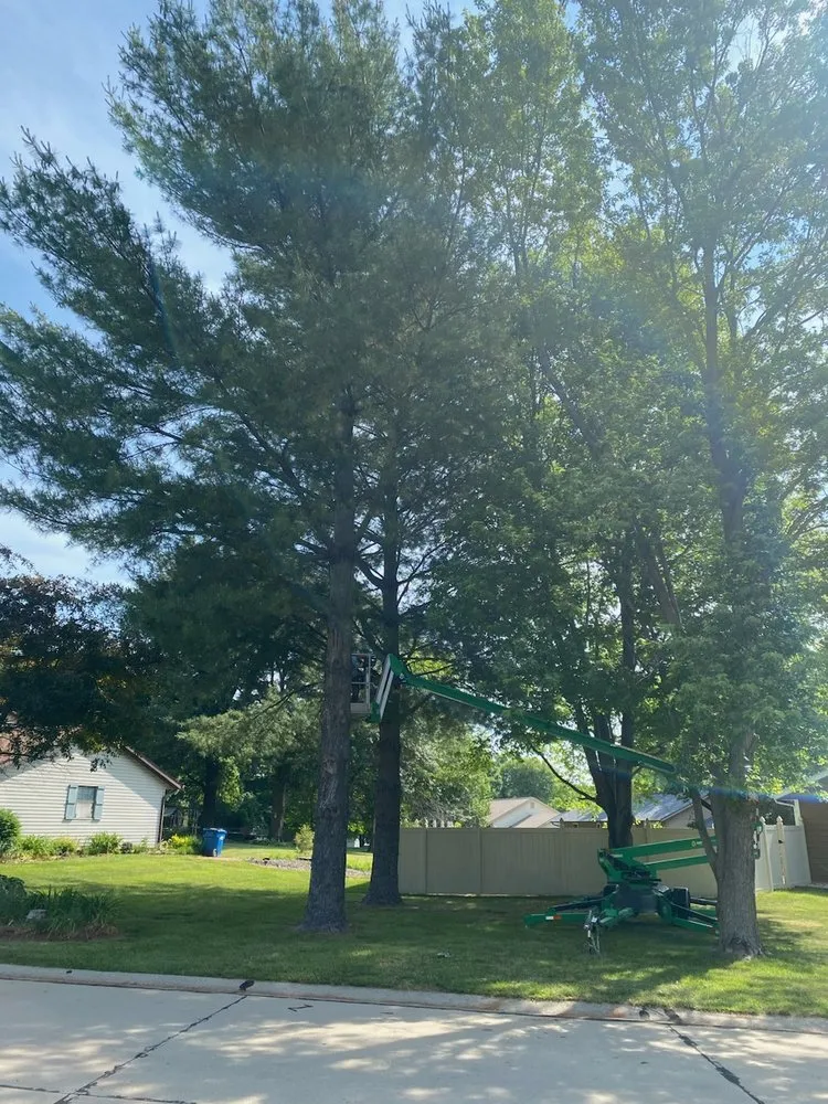 Professional lawn mowing service for beautiful yards across Troy, IL - Urban Paradise