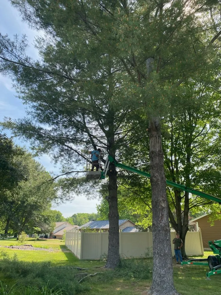 Top-rated lawn care service in Troy, IL - Urban Paradise