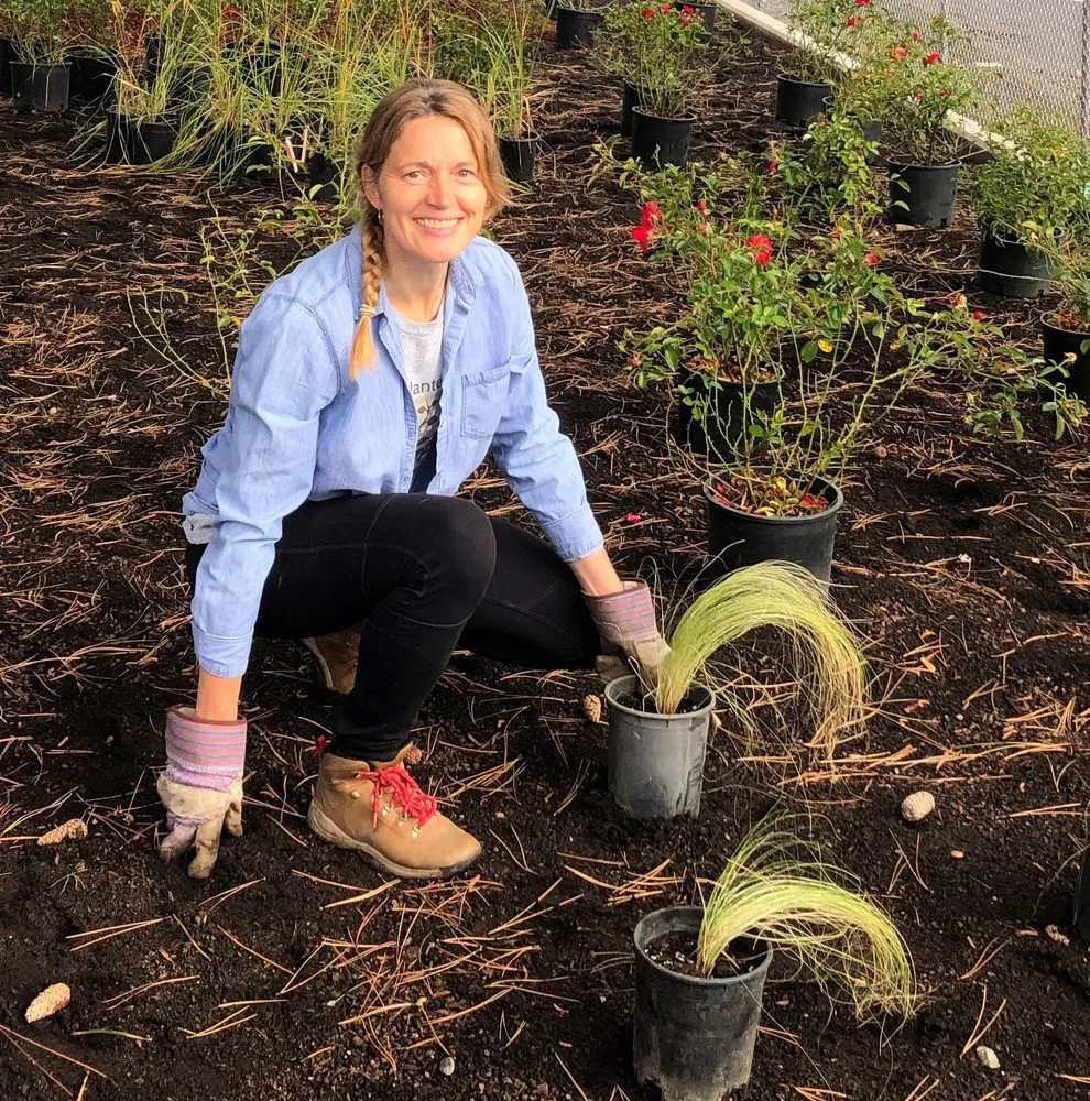 Reliable lawn care service in Portland, OR - Urban Planters PDX