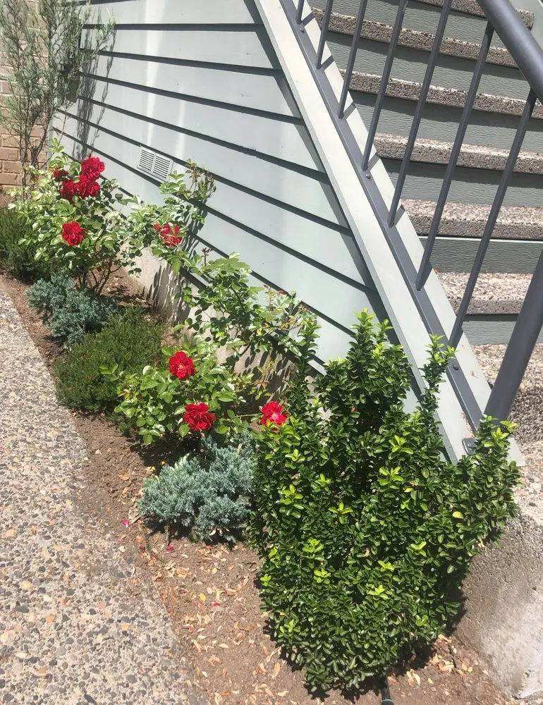 Expert residential landscaping in Portland, OR - Urban Planters PDX