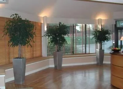 Affordable landscaping services in Hoboken, NJ - Urban Plantscapes