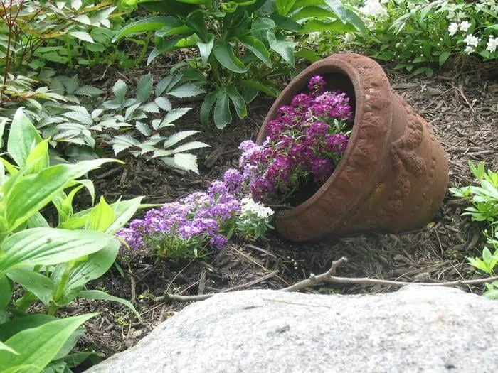 Trusted yard cleanup service experts serving Hoboken, NJ - Urban Plantscapes