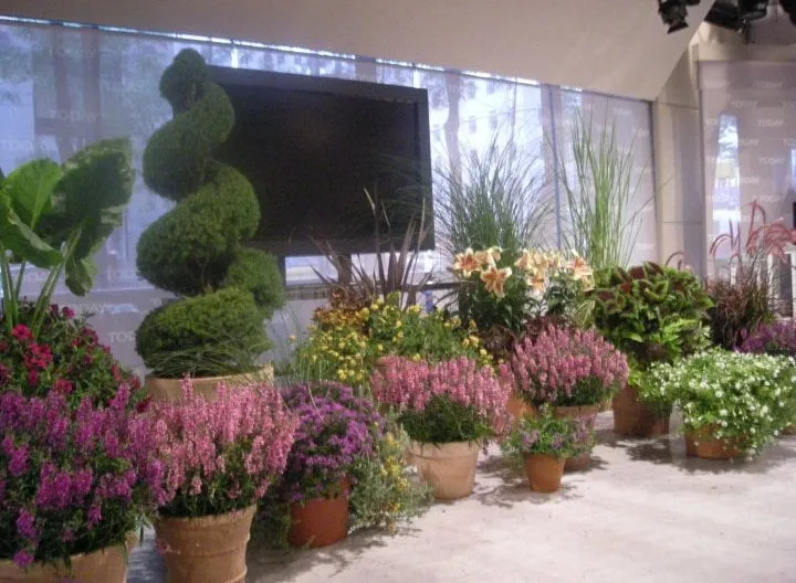 Custom residential landscaping in Hoboken, NJ by Urban Plantscapes