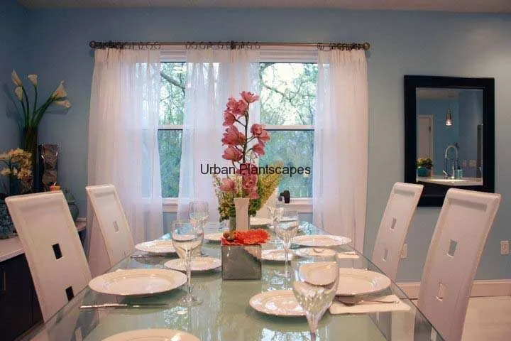 Trusted yard maintenance in Hoboken, NJ - Urban Plantscapes