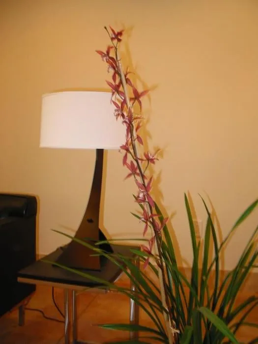 Expert landscape installation in Hoboken, NJ - Urban Plantscapes